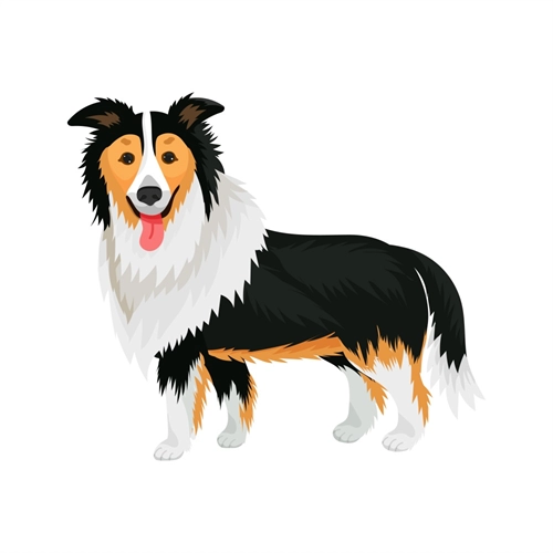 Dog Lovers Theme Collie Dog Transparent Sticker